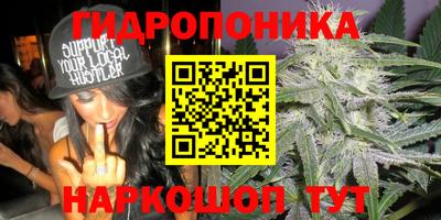 mdma Дубна