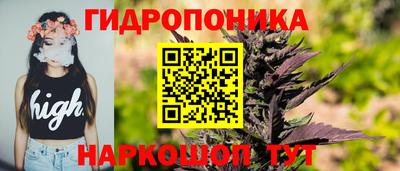 молекула духа Донской