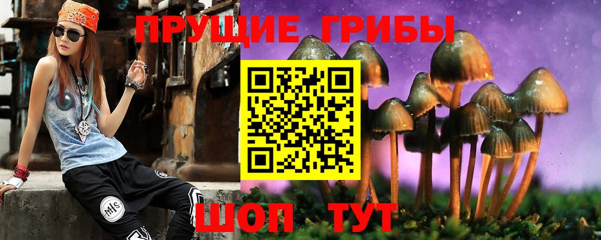 Псилоцибиновые грибы Psilocybe  Вход с VPN  Кудрово 